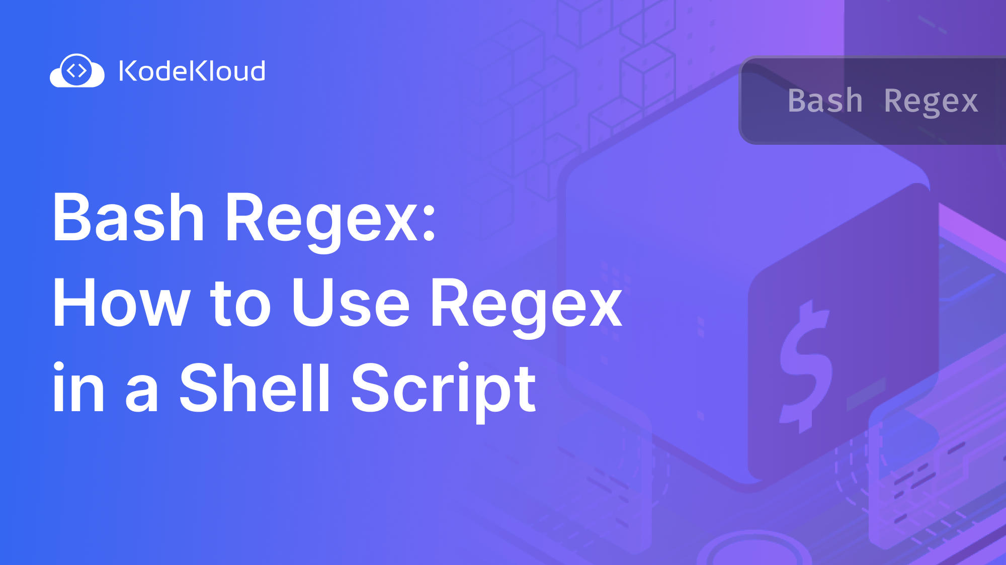 Bash Regex: How to Use Regex in a Shell Script
